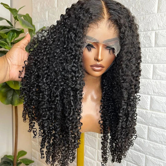 360 Full HD Lace Virgin Brazilian Kinky Curly Frontal Wigs, Virgin Brazilian Human Hair Lace Wigs